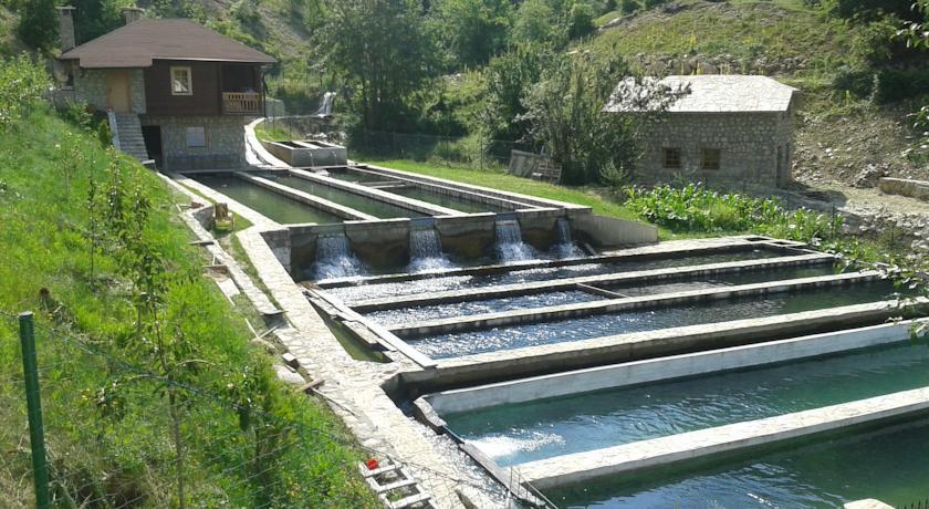 Etno Selo Vrelo & Camping Guest House Berane Exterior photo